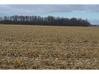 Property photo 18 - LAND AUCTION - 276.5+/- ACRES OFFERED IN 5 TRACTS IN EAST ALLEN COUNTY